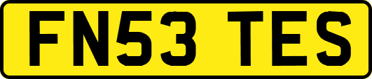 FN53TES