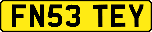 FN53TEY