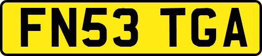 FN53TGA