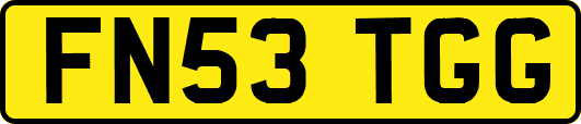 FN53TGG