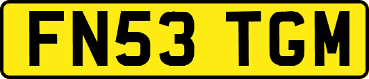 FN53TGM