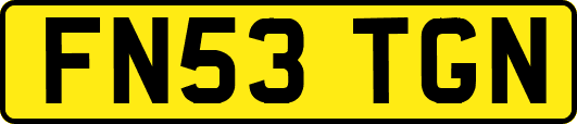 FN53TGN