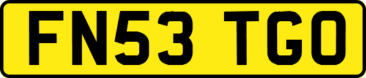 FN53TGO