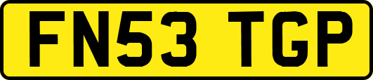 FN53TGP