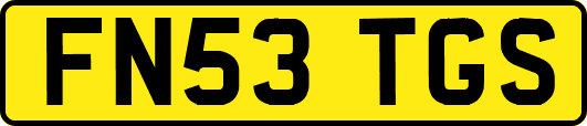 FN53TGS