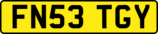 FN53TGY