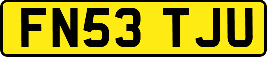 FN53TJU
