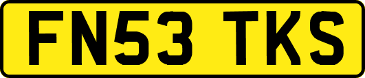 FN53TKS