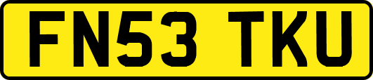 FN53TKU