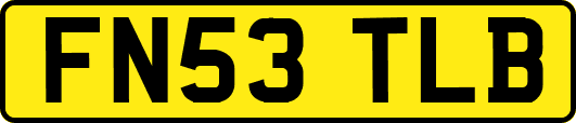 FN53TLB