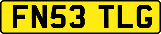 FN53TLG