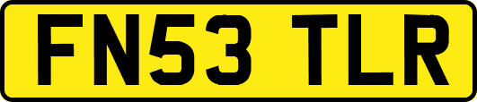 FN53TLR