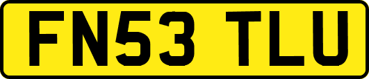 FN53TLU