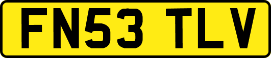 FN53TLV