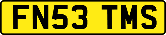 FN53TMS
