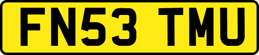FN53TMU