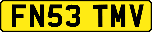 FN53TMV