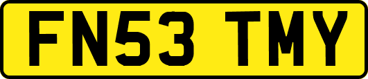 FN53TMY