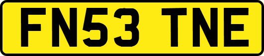 FN53TNE