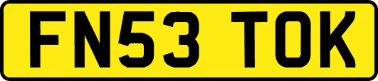 FN53TOK