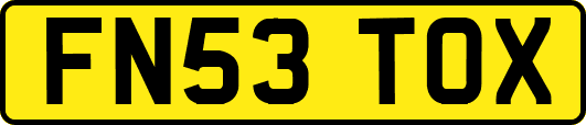 FN53TOX