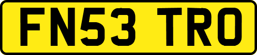 FN53TRO