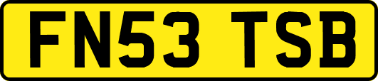FN53TSB