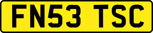 FN53TSC