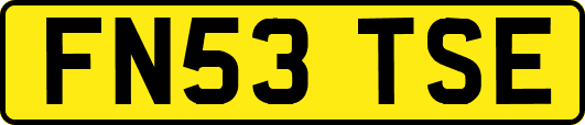 FN53TSE