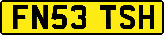 FN53TSH