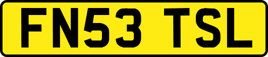 FN53TSL