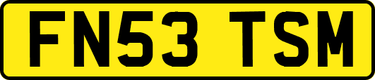 FN53TSM