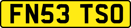 FN53TSO