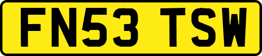 FN53TSW