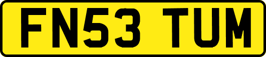 FN53TUM