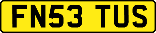 FN53TUS