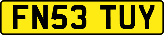 FN53TUY