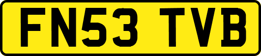 FN53TVB