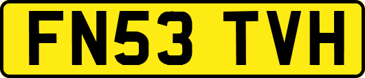 FN53TVH