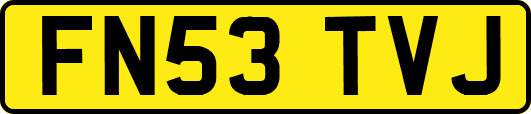 FN53TVJ