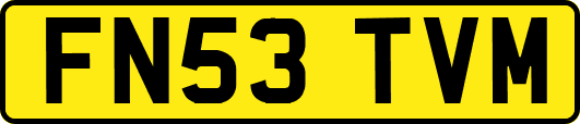 FN53TVM
