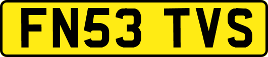 FN53TVS