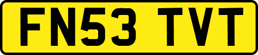 FN53TVT