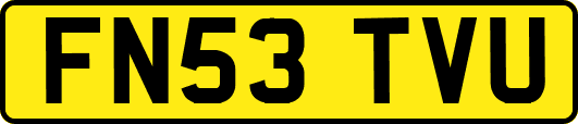 FN53TVU