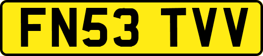 FN53TVV