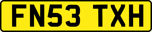 FN53TXH