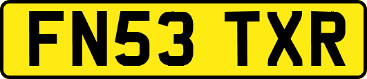 FN53TXR