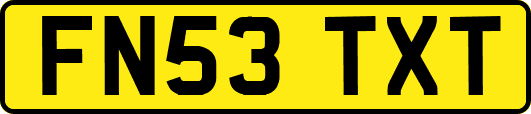 FN53TXT
