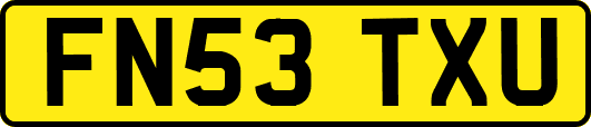 FN53TXU
