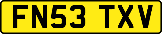 FN53TXV